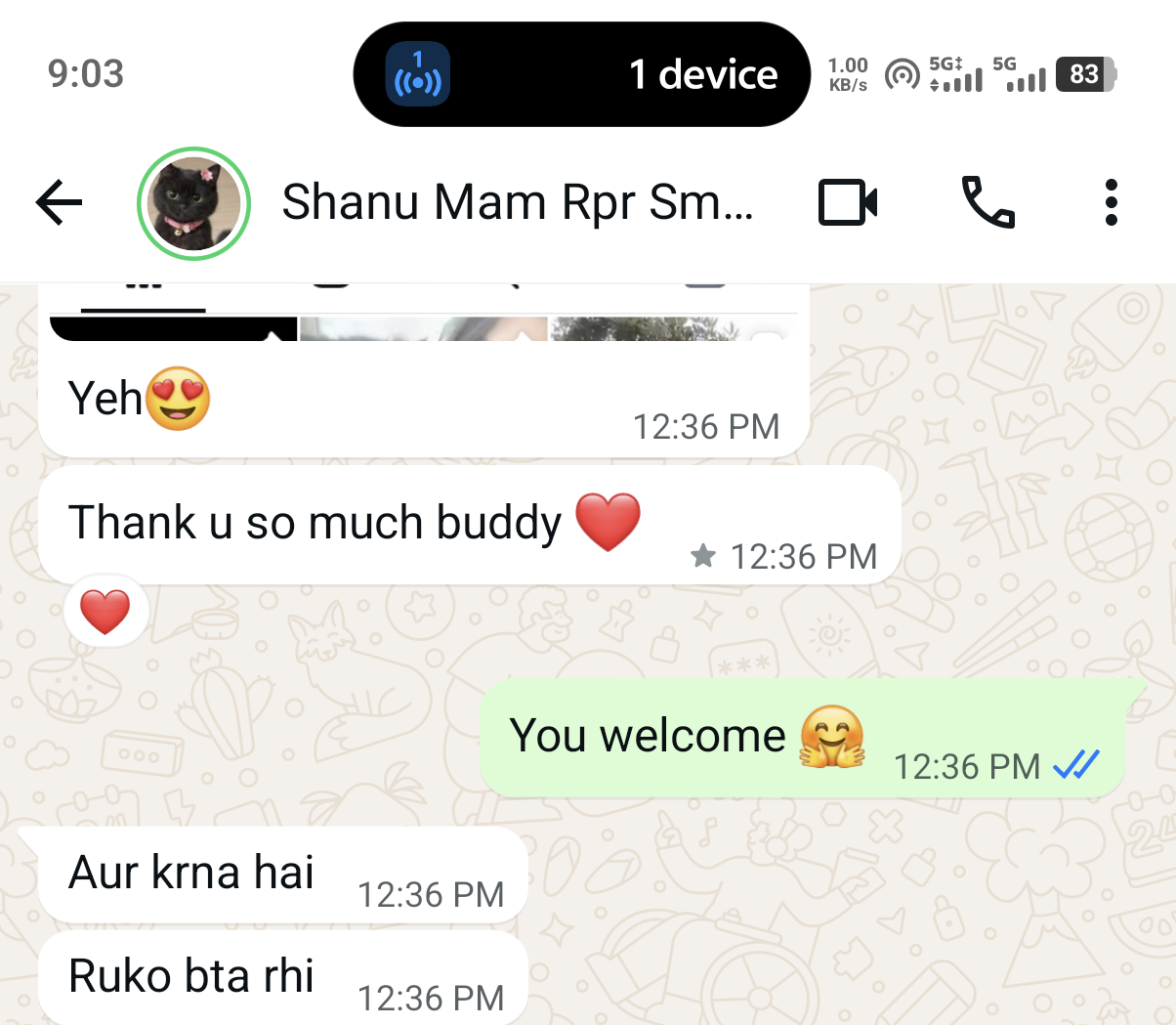 Client WhatsApp conversation with Pushpraj Digital Services